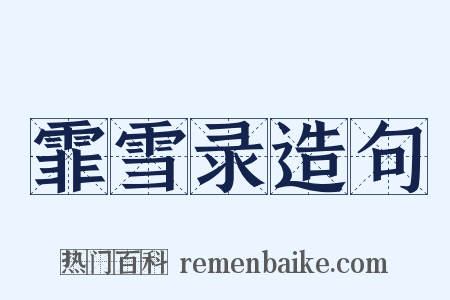 霏雪录造句是什么意思的图片